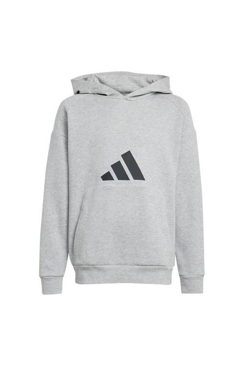 Gri Çocuk   Sweatshirt J FI LOGO HD JJ4788