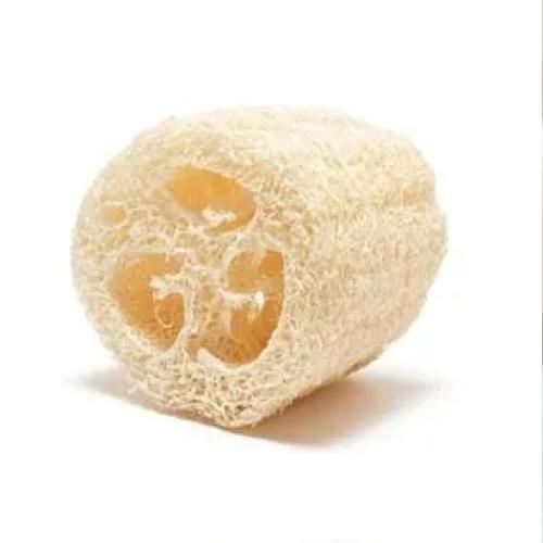 Kabak Lifi Ham Parça, 15-18 cm, 1 Adet Derya Eren