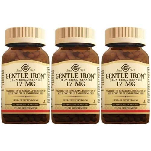 Gentle Iron 17 Mg 90 Kapsül 3 Adet