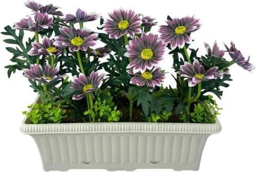 Yapay Çiçek Mürdüm Papatya Küpeşte Askılı Saksıda Balkon Vaha Çiçeği Çiçek Sepeti