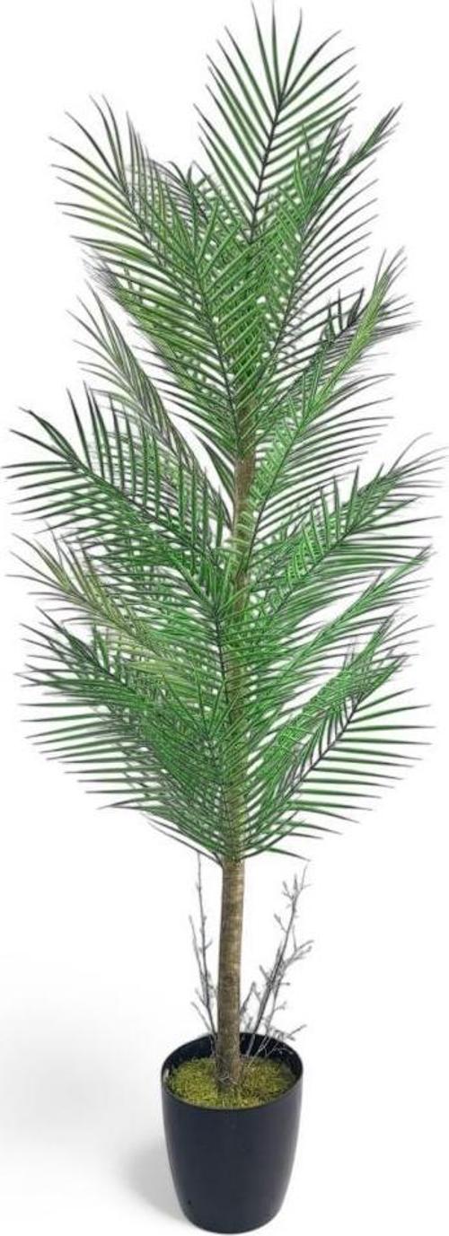 Yapay Ağaç Palmiye 155*50Cm 30Yaprak Areka Ağacı Siyah Saksıda Tek Gövdeli