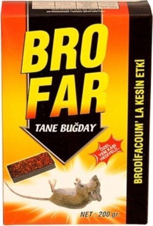 FARE ZEHİRİ BUĞDAY