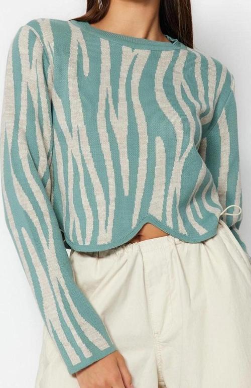 Stil Modern Kadın Crop Standart Kol Bisiklet Yaka Renk Bloklu Triko Kazak