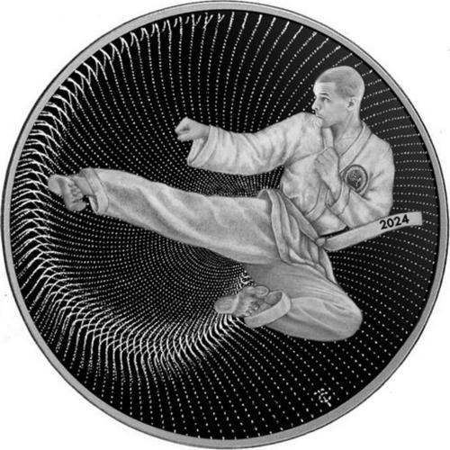 Dövüş Sanatları Gümüş Sikke Coin
