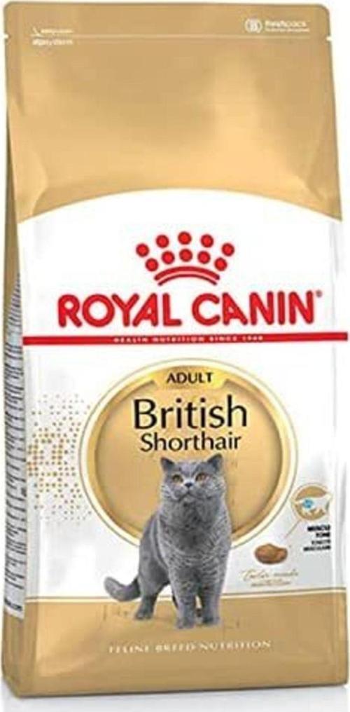 British Shorthair Adult Kedi Maması 10 Kg