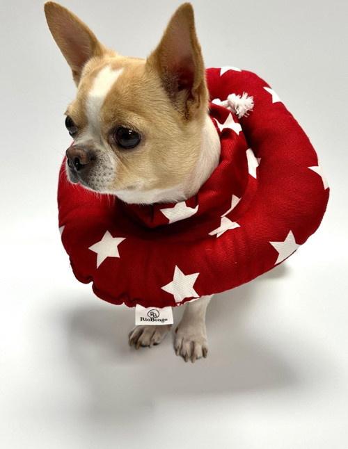 Kedi Yakalık Köpek Yakalık Elizabeth Yakalık Koruyucu Yıkanabilir Red No:10