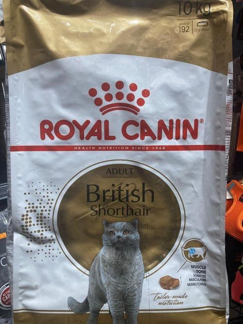 Adult British Shorthair 10 Kg