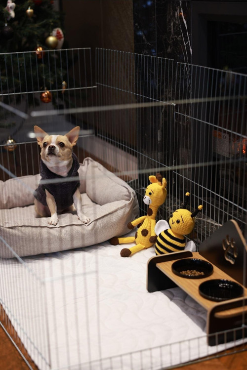 Yıkanabilir Köpek Çiş Pedi Su Geçirmez Köpek Tuvalet Eğitimi Boyut 60 X 90 Cm