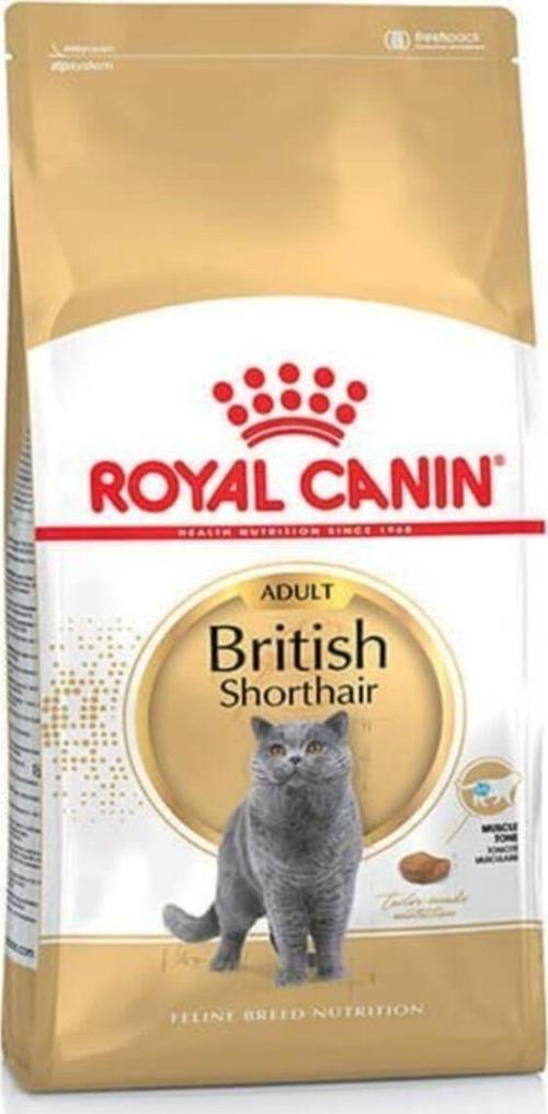 British Shorthair Yetişkin Kedi Maması 4 Kg