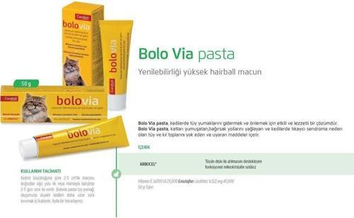 Bolovia Kedi Maltı