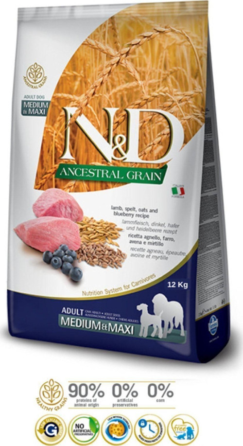 Ancestral Grain Dog Food Medium Maxi Lamb Ilkel Tahıllı Orta Büyük Irk Kuzu Etli Köpek Maması 12 Kg