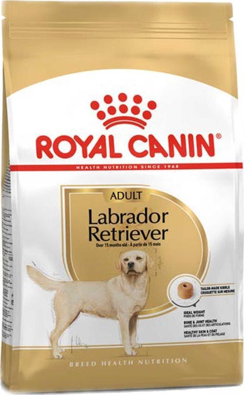 Labrador Retriever Adult 12Kg