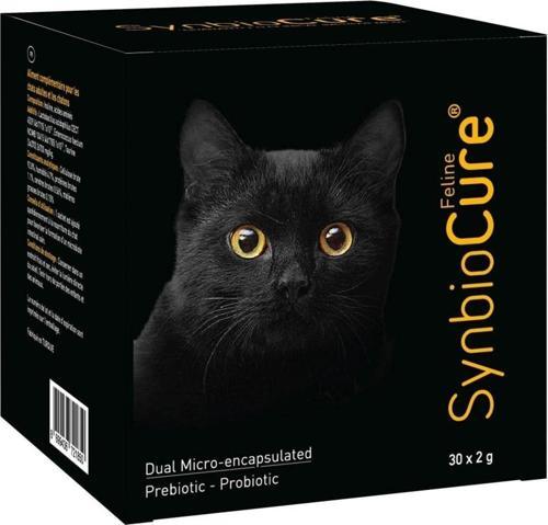 Feline Kediler Için Probiyotik Ve Prebiyotik Skt(05.2025)