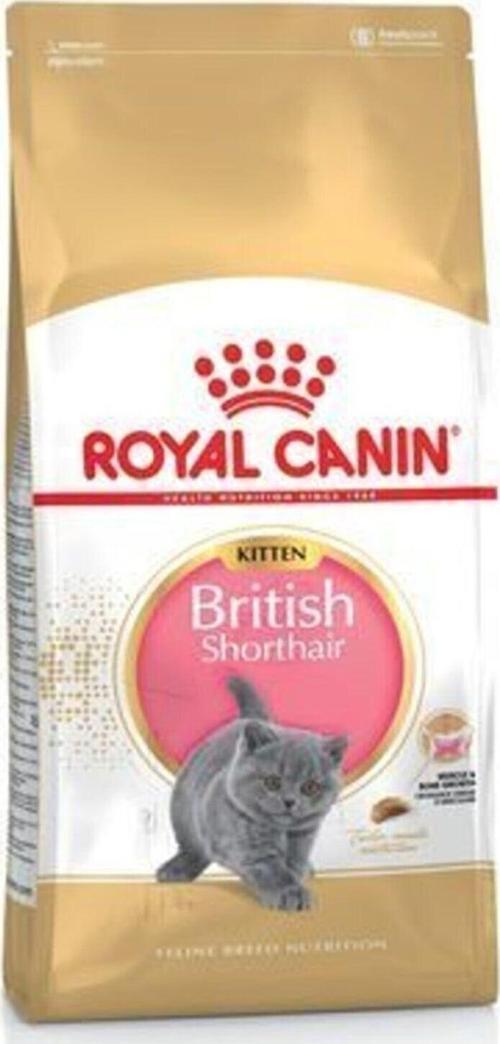 British Shorthair Kitten Yavru Kedi Maması 2 Kg