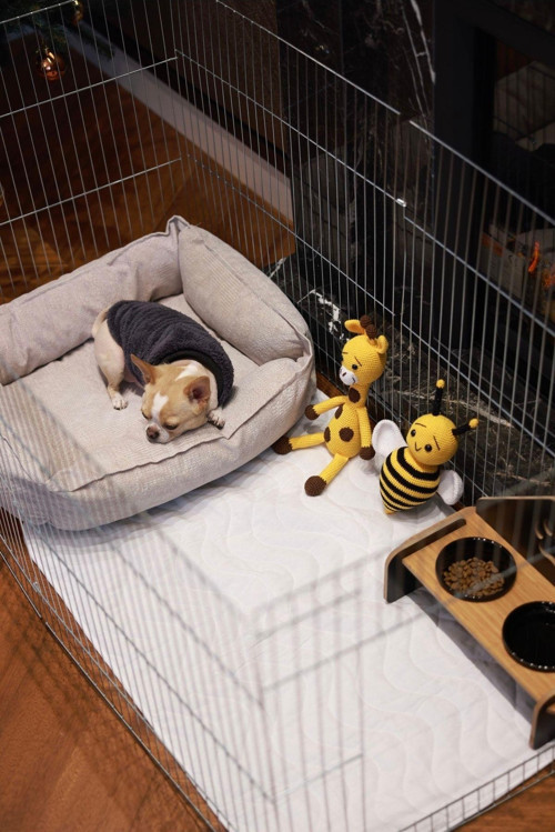 Yıkanabilir Köpek Çiş Pedi Su Geçirmez |Köpek Tuvalet Eğitimi Boyut 60 X 60Cm