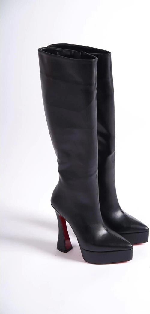 Kadın Sivri Burun Platform Çizme Violet