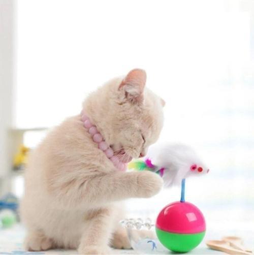 Kedi Oyun Topu Tüylü Fareli Hacı Yatmaz Kedi Oyuncağı Top