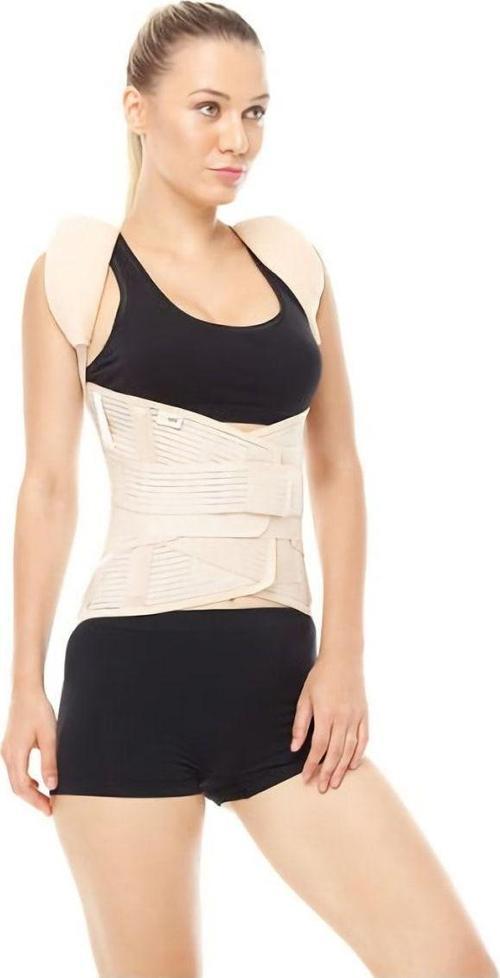 Standart Dorsolomber Korse