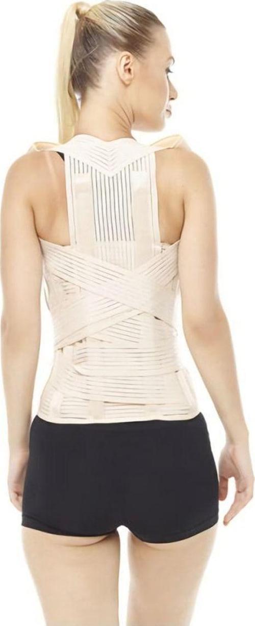 Standart Dorso Lomber Korse