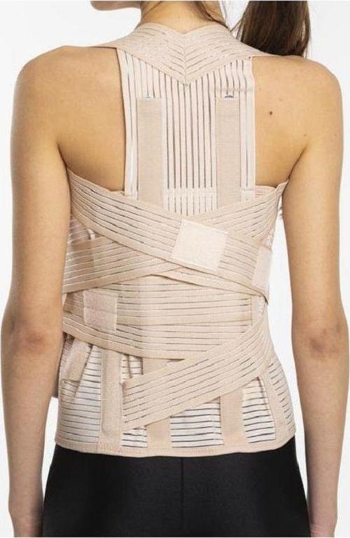 Standart Dorsolomber Korse