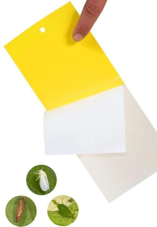 Sinek Ve Böcekler Için Sarı Yapışkan Tuzak 20 X 10 Cm - 10'Lu