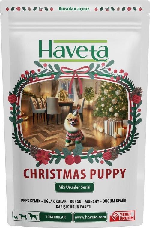 Christmas Puppy