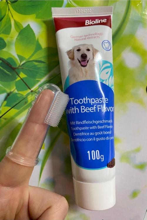 Saygın Pet Biftekli Aromalı Köpek Diş Macunu 100 gr Kapaksız Parmak Diş Fırçası