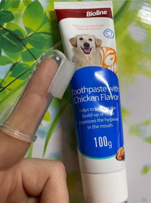 Saygın Pet Tavuk Aromalı Köpek Diş Macunu 100 gr Kapaksız Parmak Diş Fırçası