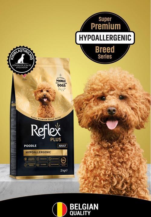 Plus Poodle Yetişkin Tavuklu Köpek Maması Hipoalerjenik 2 Kg