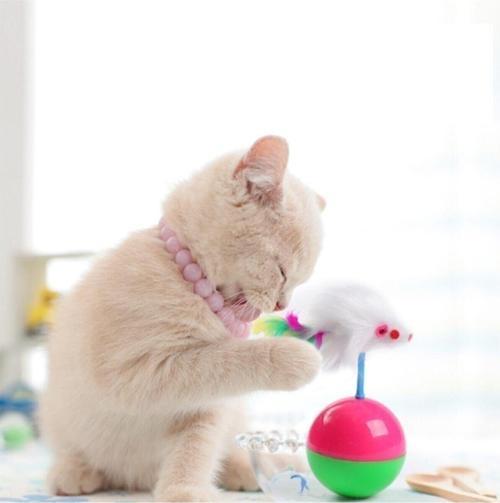 Kedi Oyun Topu Tüylü Fareli Hacı Yatmaz