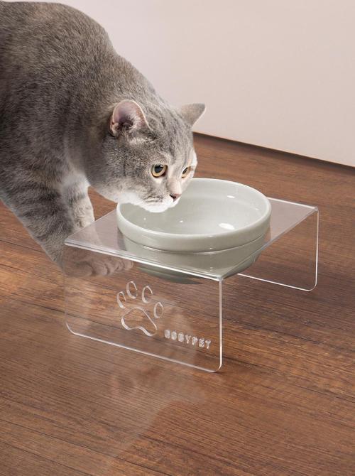 Tekli Seramik Dekoratif Kedi Ve Köpek Pleksi Mama & Su Kabı Kedi Paspası
