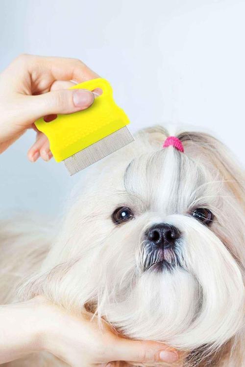 Kedi Köpek Bit ve Pire Tarağı