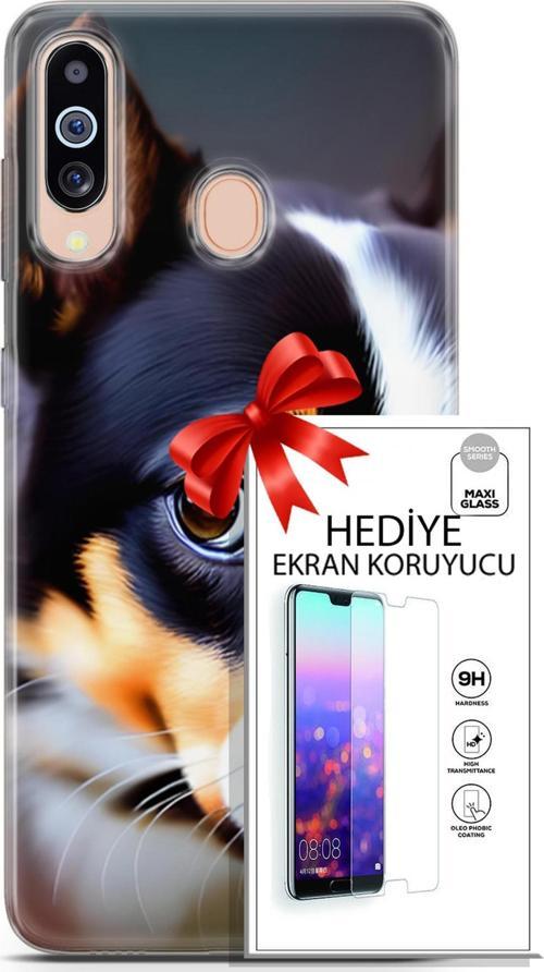 Samsung Galaxy M40 Kılıf Orijinal Seri Dogs 11 İsviçre Bernese 4K Baskılı Kılıf + Ekran Koruyucu Ful