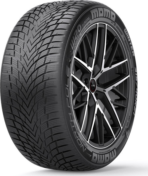 205/50 R17 93V XL North Pole W-20 Kış Lastiği ( Üretim Yılı: 2025 )