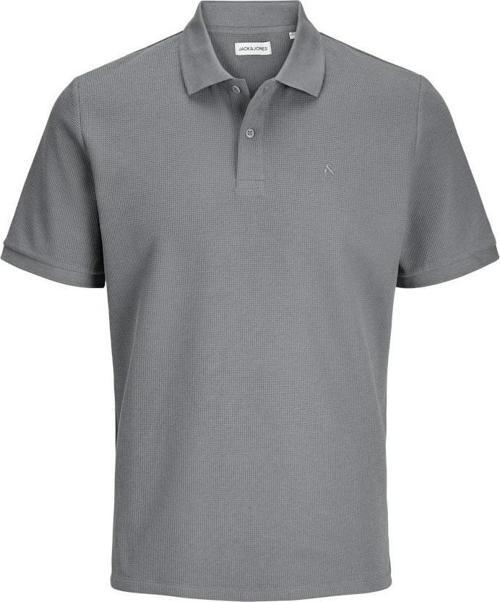 Austın Regular Fit Polo Yaka Erkek Tişört 12268130