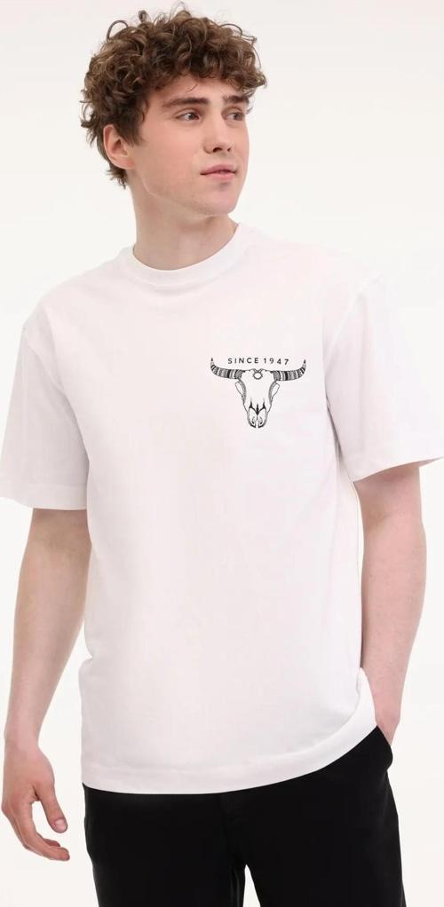 Loose Fit Grafik Logo Erkek Tişört  W241299100