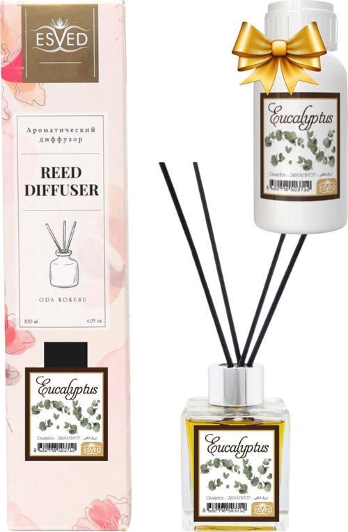 Okaliptüs Kokusu 100 Ml Çubuklu Oda Kokusu Yedek Dolum Şişesi Hediyeli