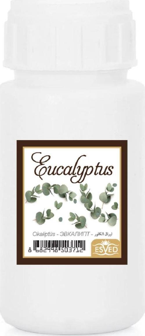 Okaliptus Kokusu Parfüm Esansı 100 Gr