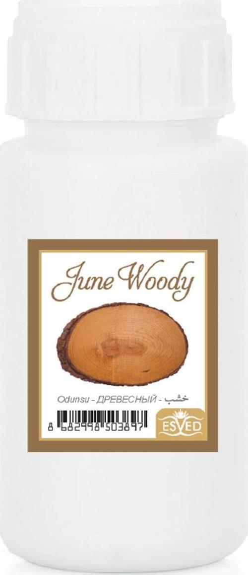 Odunsu Kokusu Çubuklu Koku Bambu Kokusu Yedek Dolum Şişesi 100Ml