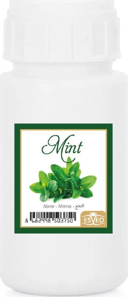 Nane Kokusu Çubuklu Koku Bambu Kokusu Yedek Dolum Şişesi 100Ml