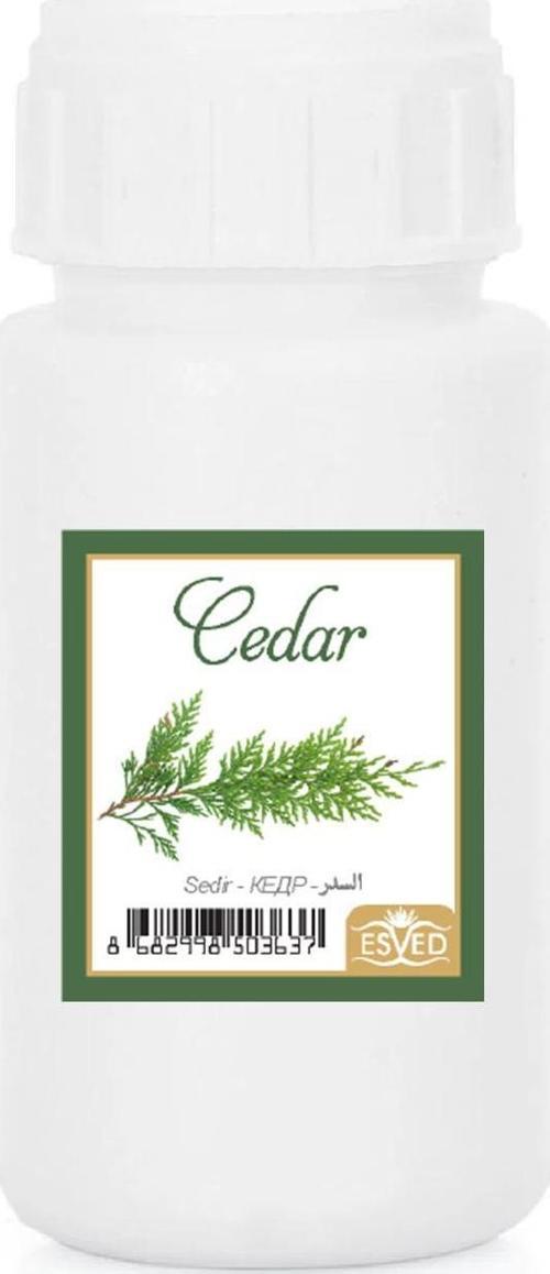 Sedir Kokusu Çubuklu Koku Bambu Kokusu Yedek Dolum Şişesi 100Ml