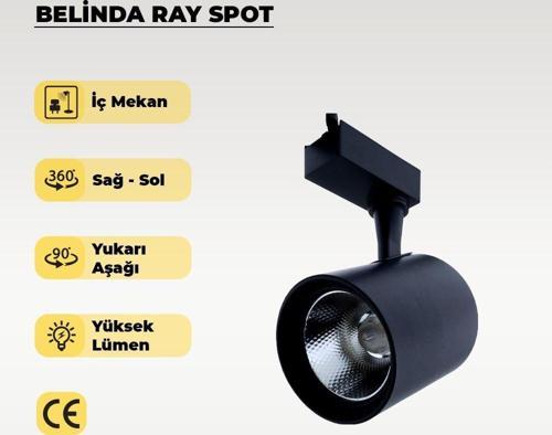 30W Siyah Ray Spot Belinda Sarı Işık