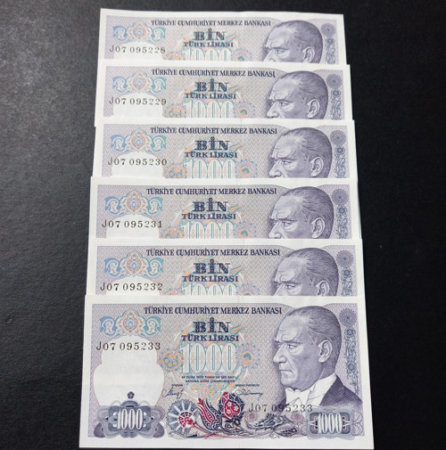 399636800ddc467230 6adet Seri takipli ÇİL 7.Emisyon 1000TL eski kağıt para