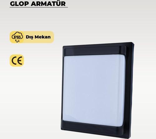 30 W Carpo Siyah Plastik Led Glop Beyaz Işık