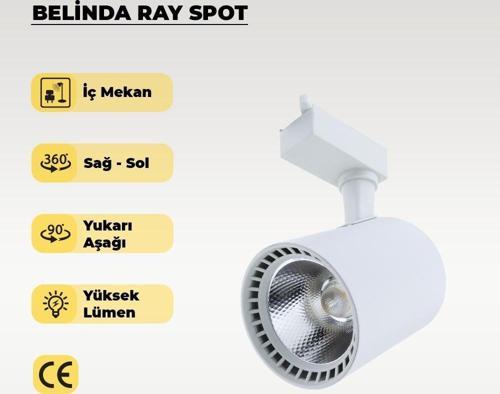 30W Beyaz Ray Spot Belinda Sarı Işık