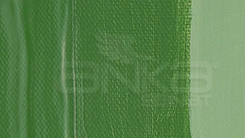 System 3 Akrilik Boya 500ml 367 Oxide of Chromium Green
