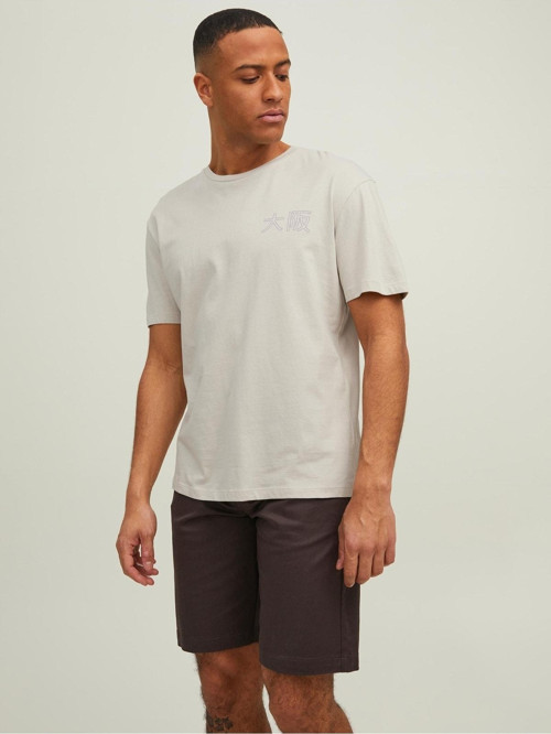 Japan Tee Ss Crew Neck Erkek Bej Tshirt 12210323-06