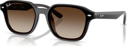 RB4458D 714/13 65 Unisex Güneş Gözlüğü