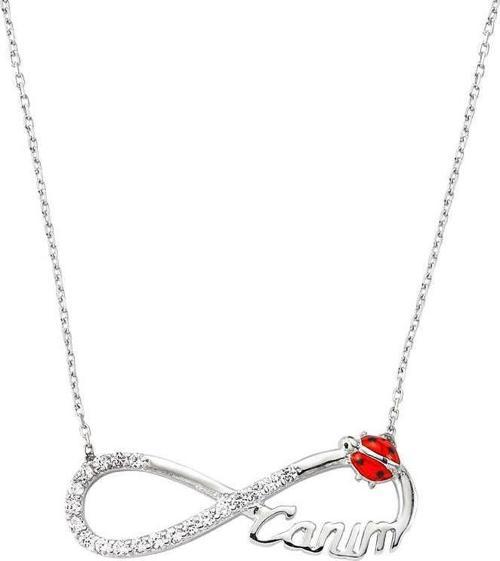 Gümüş Uğur Böcekli Sonsuzluk Canım Bayan Kolye