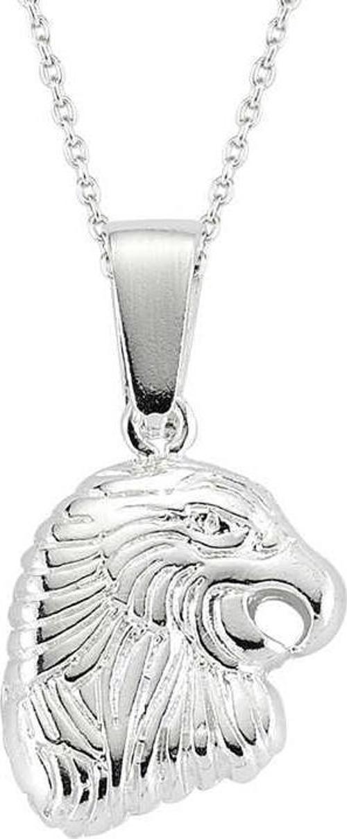 Gümüş Kartal Erkek Kolye